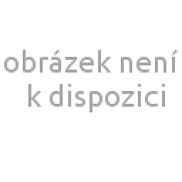 Obrázek pro produkt ACCUD 535-3000-01 WHITWORTH PIPE THREAD RING GAUGE (G SERIES),GO / G3"-11 /