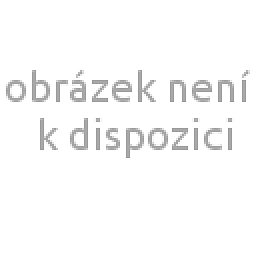 Obrázek pro produkt ACCUD 536-0250-01 WHITWORTH PIPE THREAD RING GAUGE (G SERIES), NOGO / G1/4”-19 /